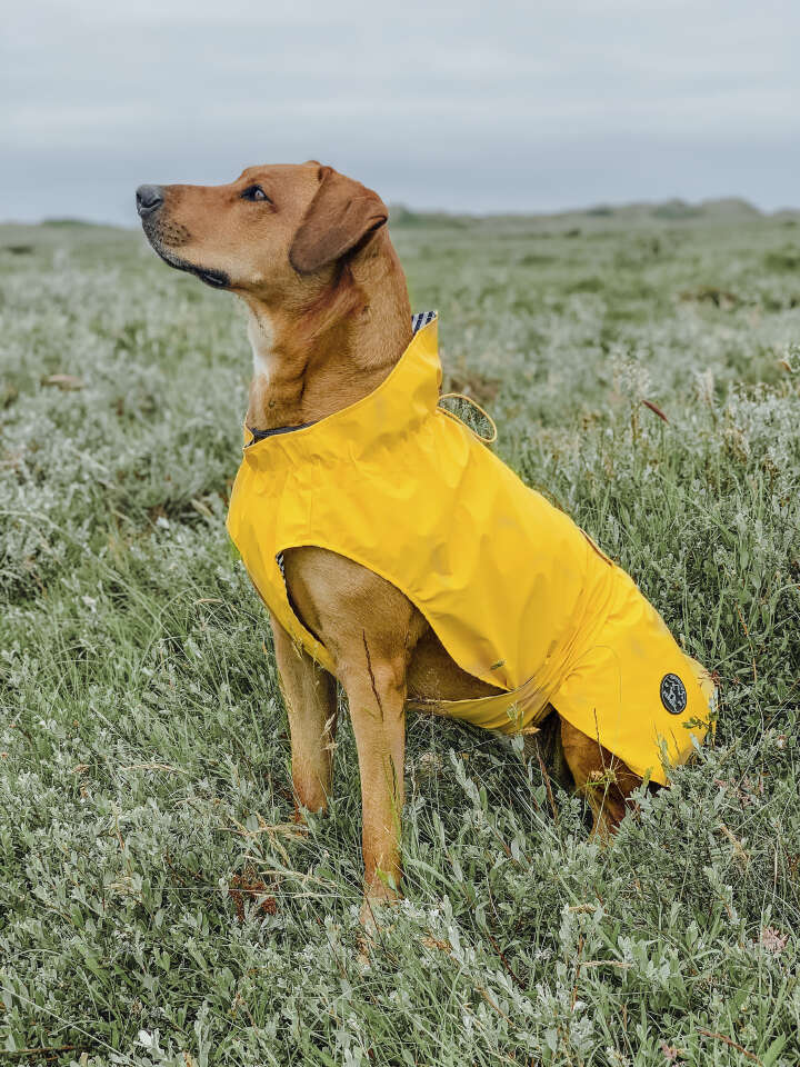 HUNTER Hundemantel Milford